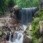 �������